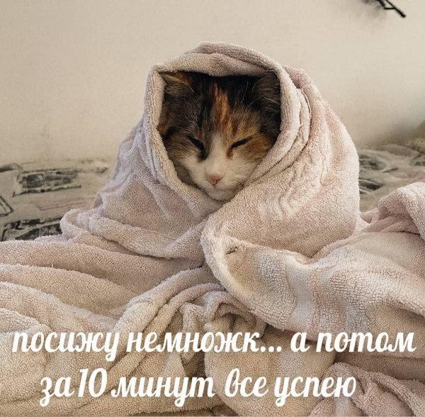 IMG 20260828 002344 719