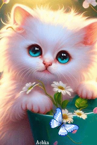 file_93158570