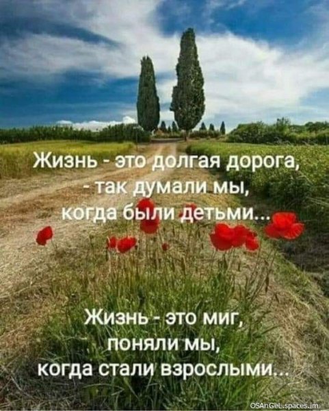 FB IMG 1695436889777-