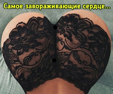 Serdce
