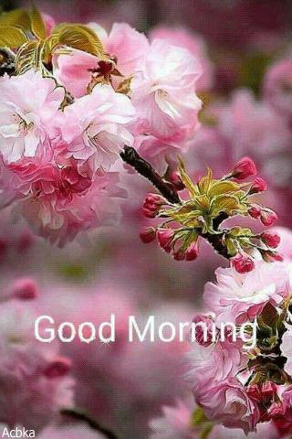 file_76470823