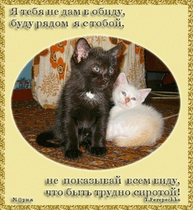 YA TEBYA NE DAM V OBIDU NE DAM