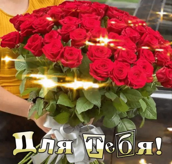 IMG 20240105 001558