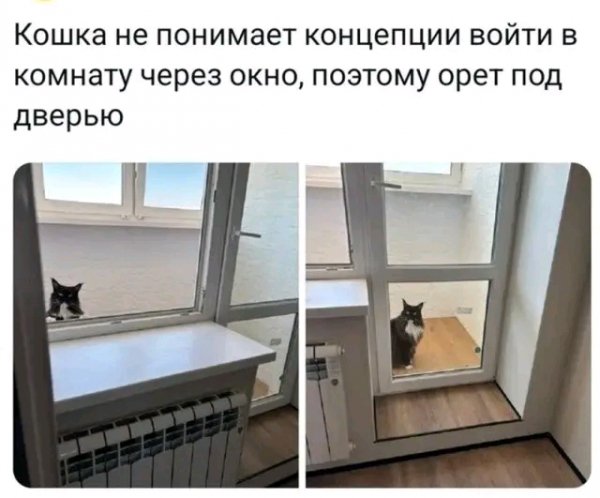 file_103421286