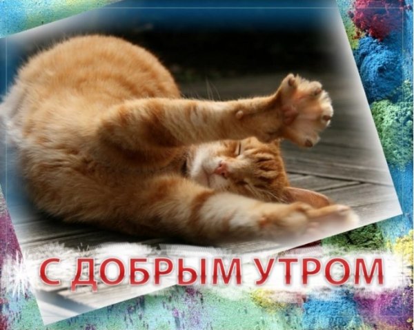 IMG 20191208 225130