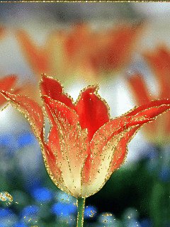 file_59346619