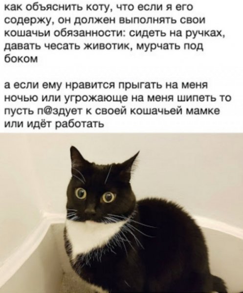 file_100211184