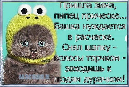 Пришла зима пипец прическе..
