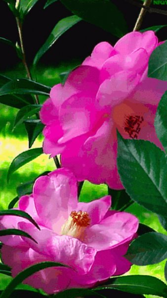 file_51624393