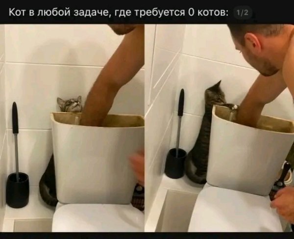 file_103374518