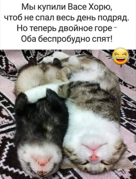 Горе
