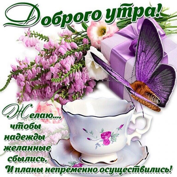 LjaLDCnyttI