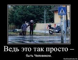 images (33)