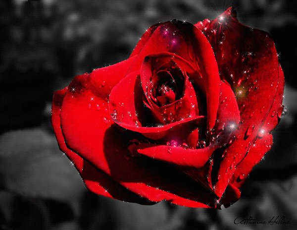 file_60489784
