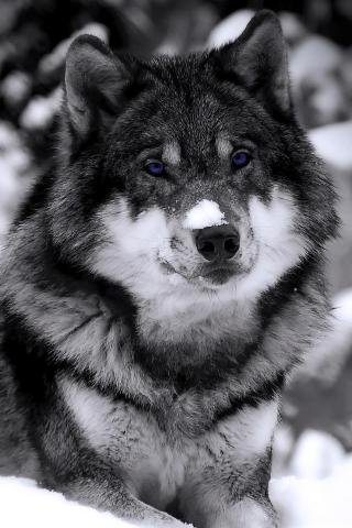 file_53368359
