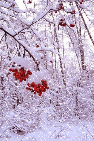 file_76417274