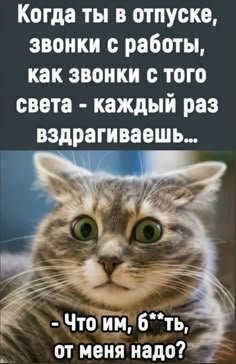 A9fed37a8d0c8fc9a8c10e3879b8cb84