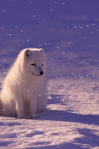 file_76232296