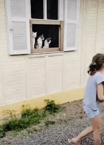 ))