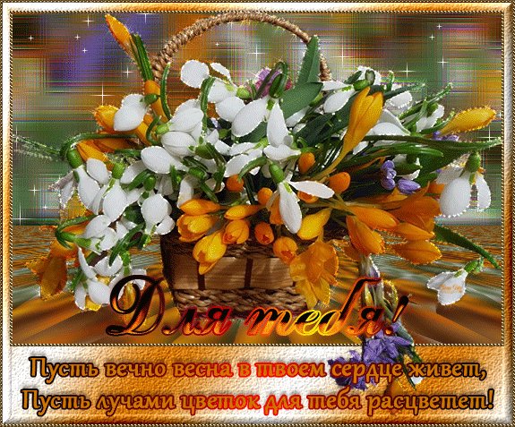 file_46260725