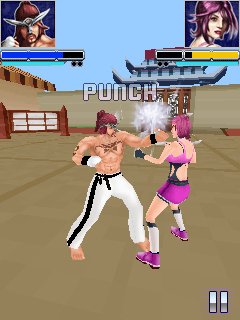 The Fight 3D