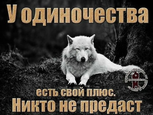 d2113c72b3776a60014022fdf5