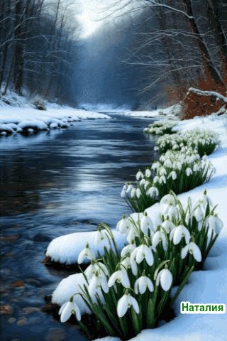 file_102160063