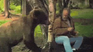 медведь, стальные яйца, мужик
