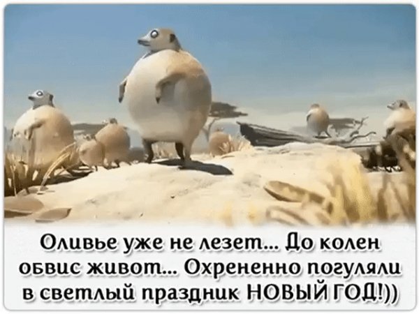 file_76042447