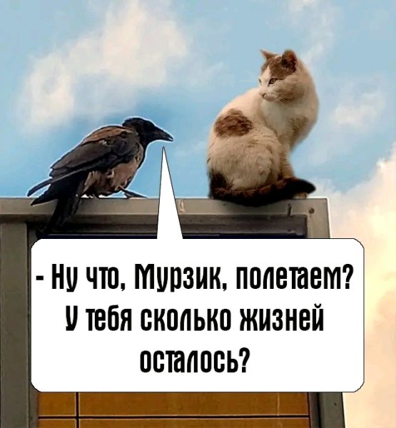 file_103267797