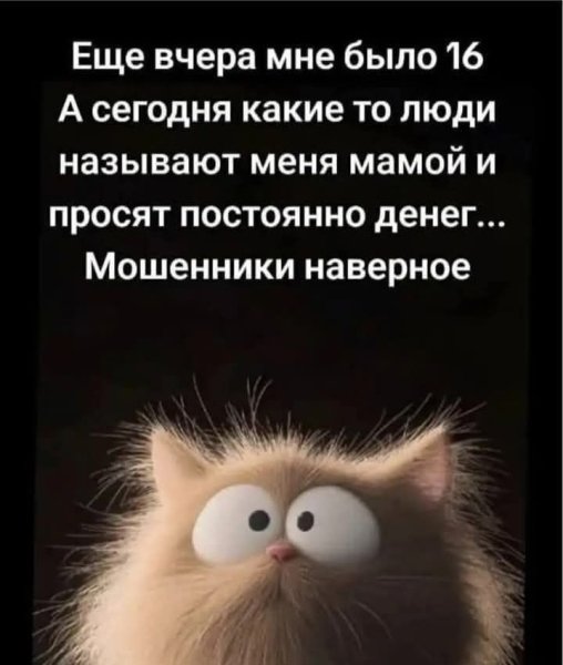 Ofq3KO0RiNo