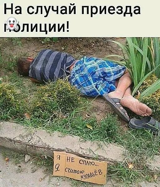 file_103418436