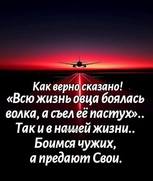 file_100496843