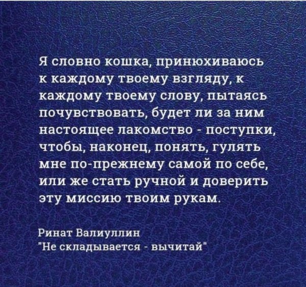file_94725205