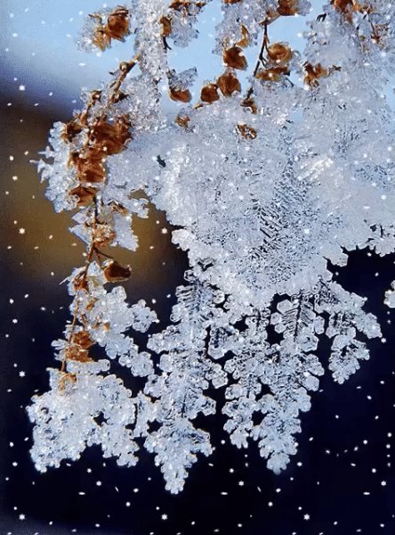 file_95350347