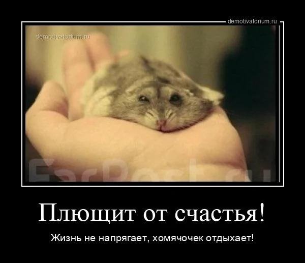 Плющит от счастья