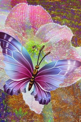 file_47029529