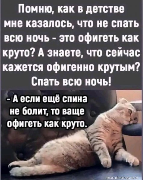 file_93567494