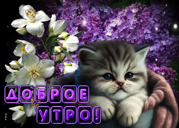 file_99147375