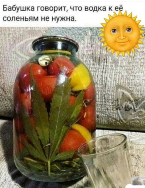 file_103291669