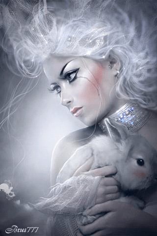 file_53753111