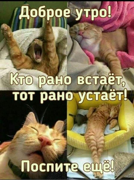Screenshot 2024-02-19-04-02-58-649 com.facebook.katana-edit