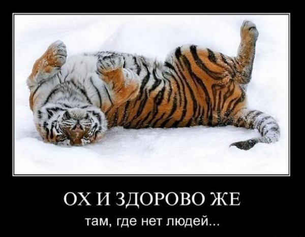 Ох и здорово...
