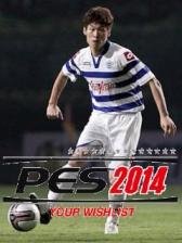 pes2014