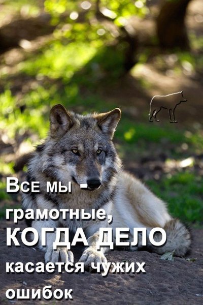2dc9fd28db161ab29dc340e7f0ae413d