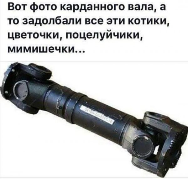 IMG 20200429 100755