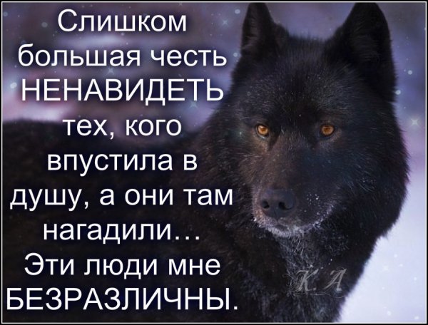 IMG 20160614 220249 0
