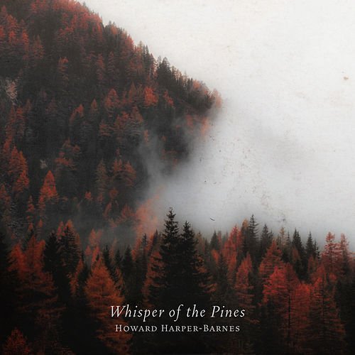 Howard Harper-Barnes - Life in Pieces