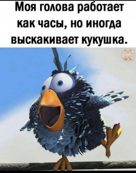 IMG 20250802 223545 003