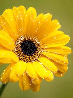 file_76831524